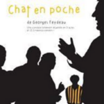 Chat en poche