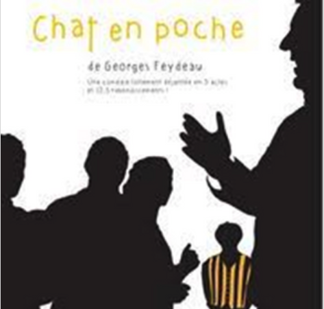 Chat en poche