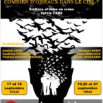 Combien d'oiseaux dans le ciel de Sylvie Cens